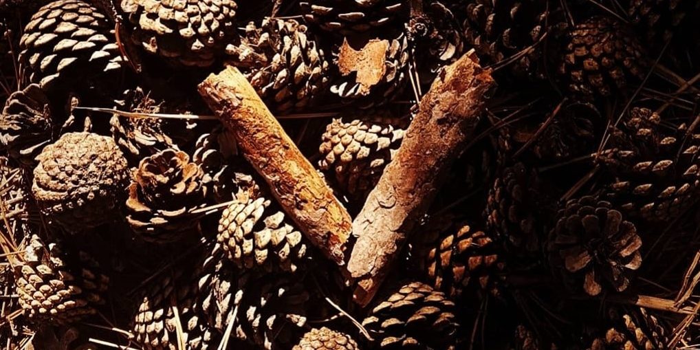 Tek Çocuk Büyüdüm Ama Kardeş Nedir Bilirim